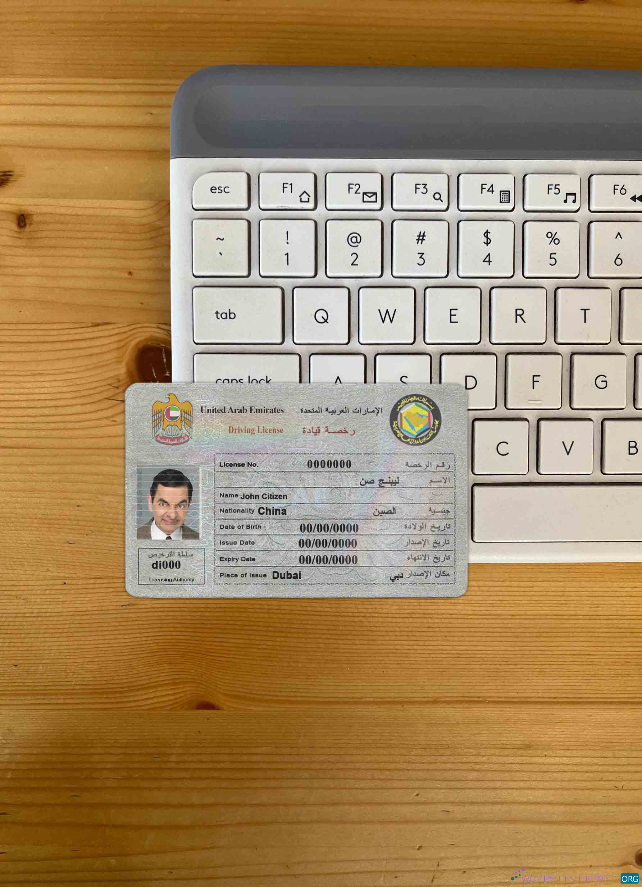 Download UAE DL photolook FRONT Photoshop template